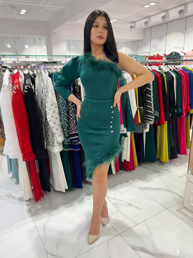 Body Fit Green Occasional Dress